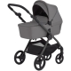Коляска 2в1 Anex IQ Basic Lune