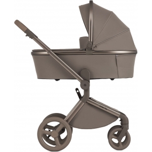 Коляска 2в1 Anex Flo Yuki 