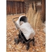 Коляска 2в1 Roan Ivi Sesame Коляска 2в1 Roan Ivi Sesame