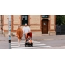 Коляска прогулянкова ABC Design Avus carrot Коляска прогулянкова ABC Design Avus carrot