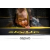 Батут Espiro Sky Up 244см
